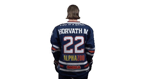 Ice Hockey Sticker by Fehervar AV19