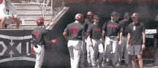 Texas Tech Baseball GIF by NCAA Championships