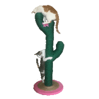 Cats Sticker by Jess