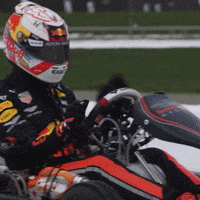 GIF by Red Bull
