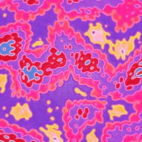 Rainbow Loop GIF by Toke