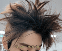 Cortis GIF