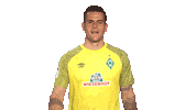 Zetti Thumbs Up Sticker by SV Werder Bremen