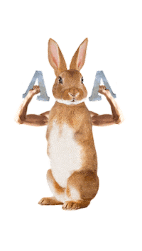 SamsungMobileMX samsung conejo galaxy a samsung mexico Sticker