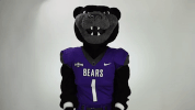 gobear whatever GIF by University of Central Arkansas