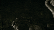 weeping angels GIF by Doctor Who