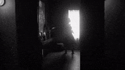 GIF by Partisan Records