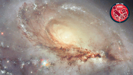 Stars Glowing GIF by ESA/Hubble Space Telescope