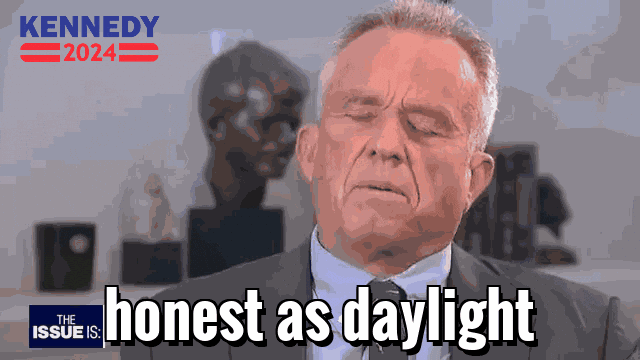 Climate Change Democracy GIF by Team Kennedy