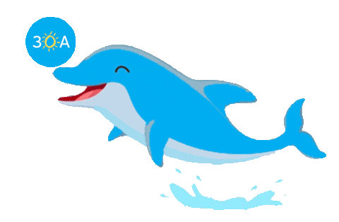 beach dolphin Sticker by 30A