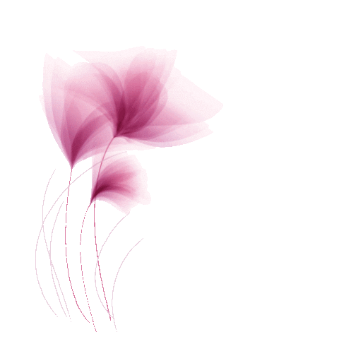 Ovasitol giphyupload flower pcos ovasitol Sticker