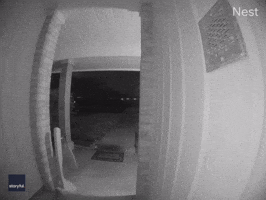 Door Camera Goes Blind as Lightning Strikes With a Bang