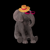 manadacriativa elephant oculos Dançando saojoao GIF