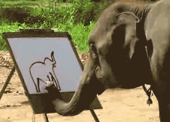 Elephant-painting GIFs - Get the best GIF on GIPHY