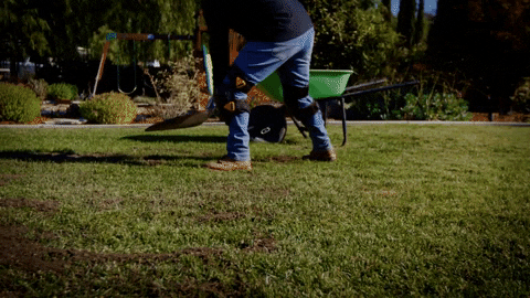 TOUGHBUILT giphygifmaker gardening dirt scoop GIF