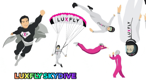 LUXFLYSKYDIVE giphybackdropmaker skydive indoor skydive luxfly GIF