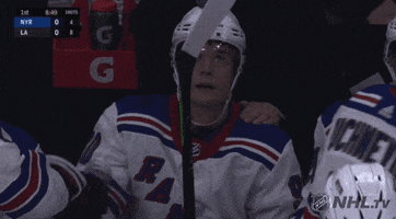 ice hockey fist bump GIF by NHL