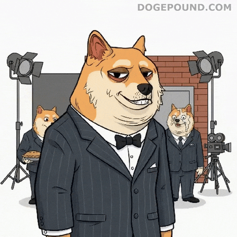 Shiba Inu Crying GIF by Doge Pound