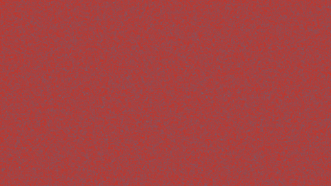 AsiaSocietyAus giphyupload roccofazzari asiasocietyaus asiabreifinglive GIF