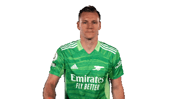 Celebrate Germany Sticker by Arsenal