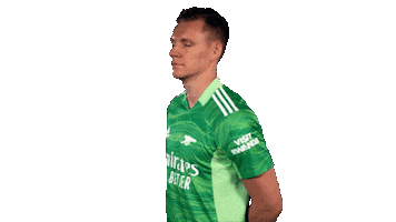 Celebrate Germany Sticker by Arsenal