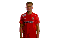 FCZBROJOVKABRNO Brno zbrojovka zbrojovkabrno sevcik Sticker