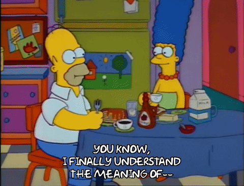 Season 2 Episode 22 GIF by The Simpsons