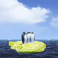 Ocean Lol GIF by Lance Ford