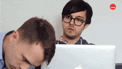 International Cat Day Cats GIF by BuzzFeed