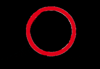 bestofya book books reading ya GIF