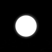 angulargeometry love art animation gif GIF