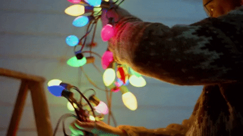 jphelan2 giphyupload GIF