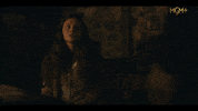 Sara Harold GIF by FROM