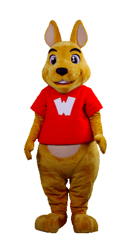 WalibiRA giphyupload yes like ok Sticker