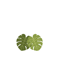 hoyabackgirl green plant plants leaves Sticker