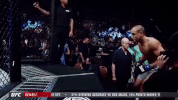 ufc 205 GIF