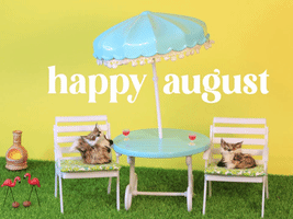 happy august