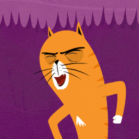 Cats Yes GIF by Kitty Is Not A Cat