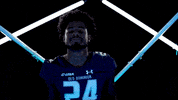 Old Dominion Sport GIF by ODU Football
