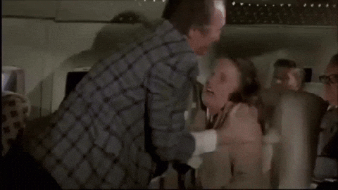 Airplane Movie GIF
