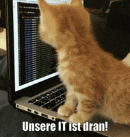 unsereoebb cat katze oebb weltkatzentag GIF