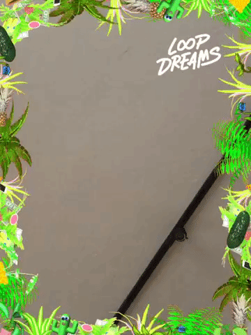 framebeta GIF