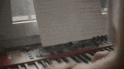 House Music Love GIF by Island Records UK