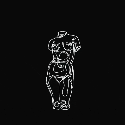 paigestrabala giphyupload face linework foxnap GIF