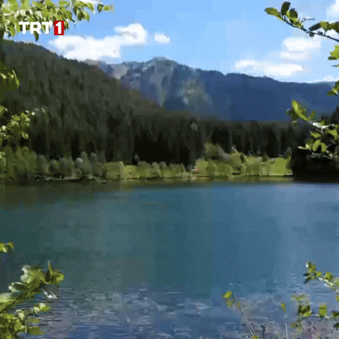 See Fresh Air GIF by TRT