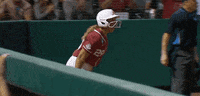 Sport Celebration GIF by NCAA Championships