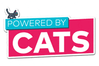 Cats GIF by Homepage.rs