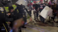 Police Break Up Scuffle at Pro-Trump Rally in Los Angeles
