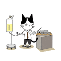 daedubear daedubearfamily 대두베어 daedubear 대두베어패밀리 Sticker