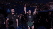 Mixed Martial Arts Sport GIF by UFC